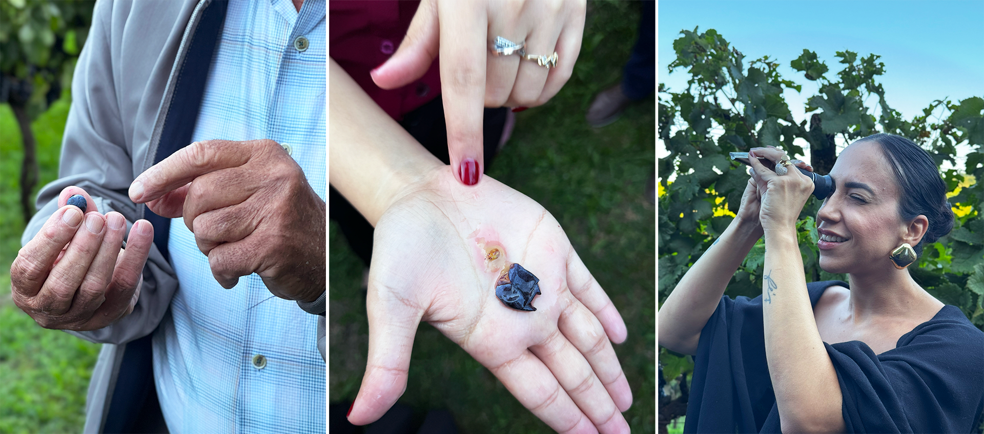 Uma jornada pelos sentidos