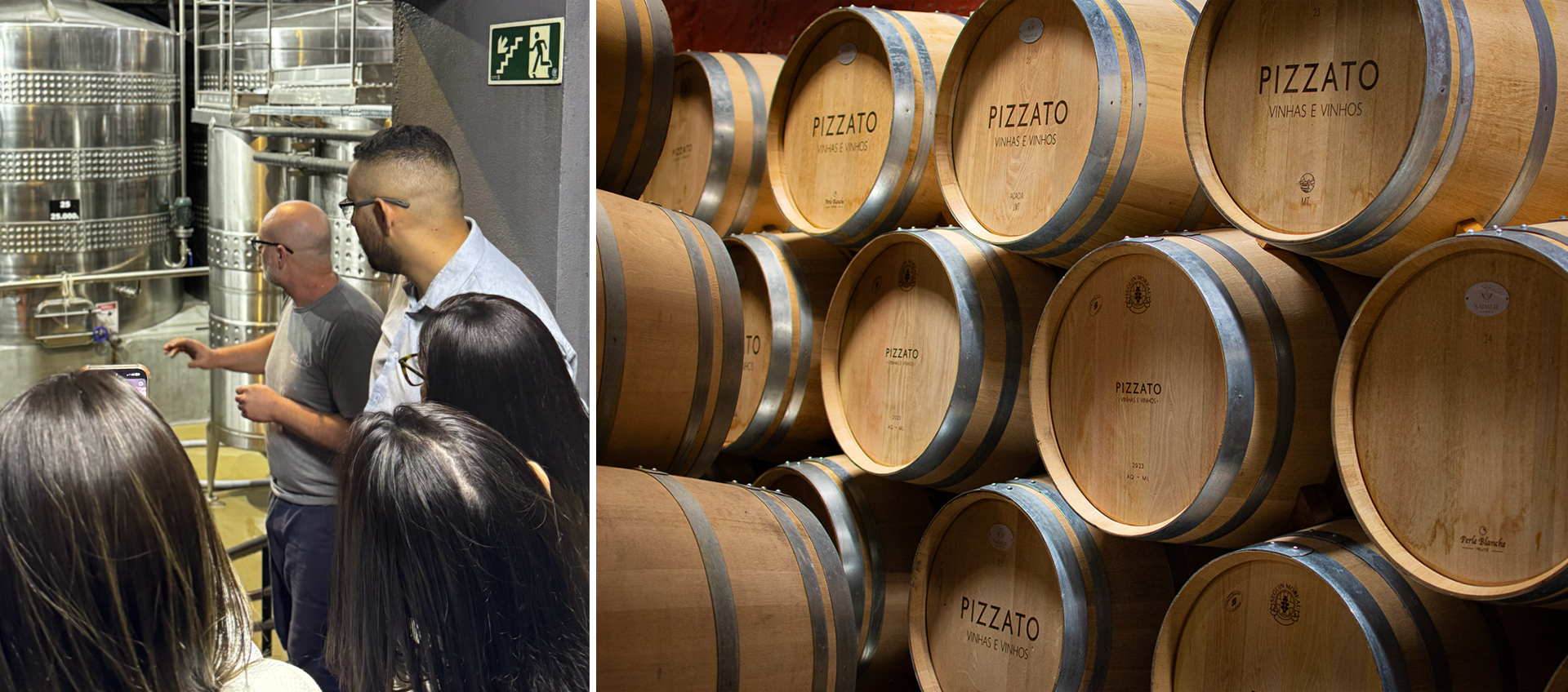 visita &agrave;s &aacute;reas de vinifica&ccedil;&atilde;o