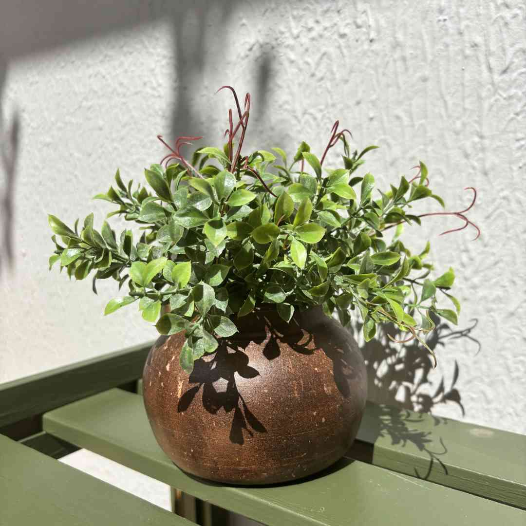 Vaso Ocre