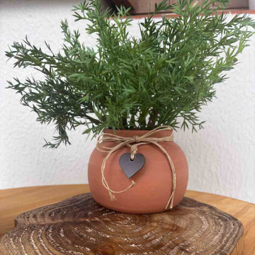 Cenário Vaso Alecrim