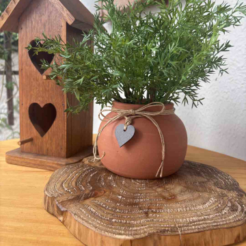 Cenário Vaso Alecrim