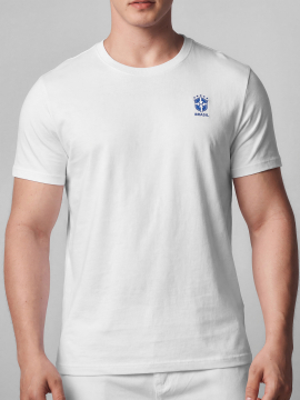 T-SHIRT GOLA O MC SLIM AERO BANDEIRA BRASIL