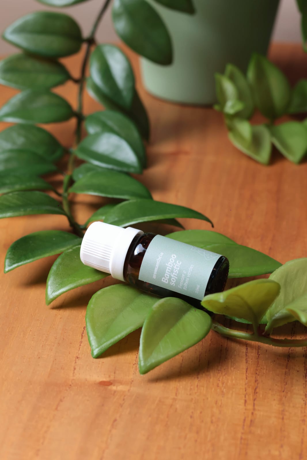 ESSENCIA CONCENTRADA BAMBOO SOFISTIC 10ML