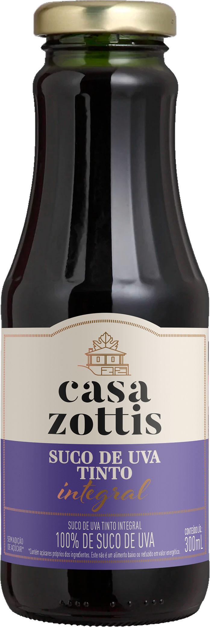 SUCO DE UVA 300ML BORDO