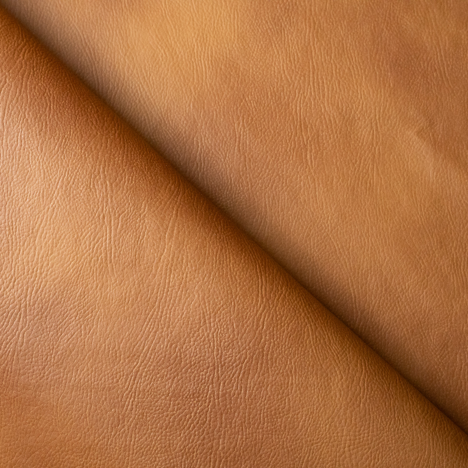 CORANO CAMEL RENNES