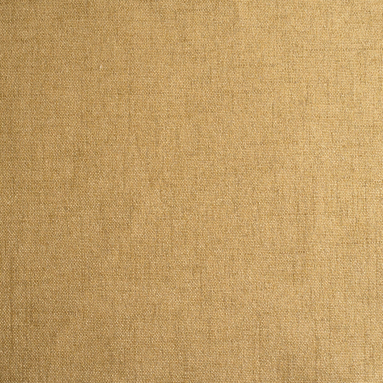 LINHO SENNA OCRE