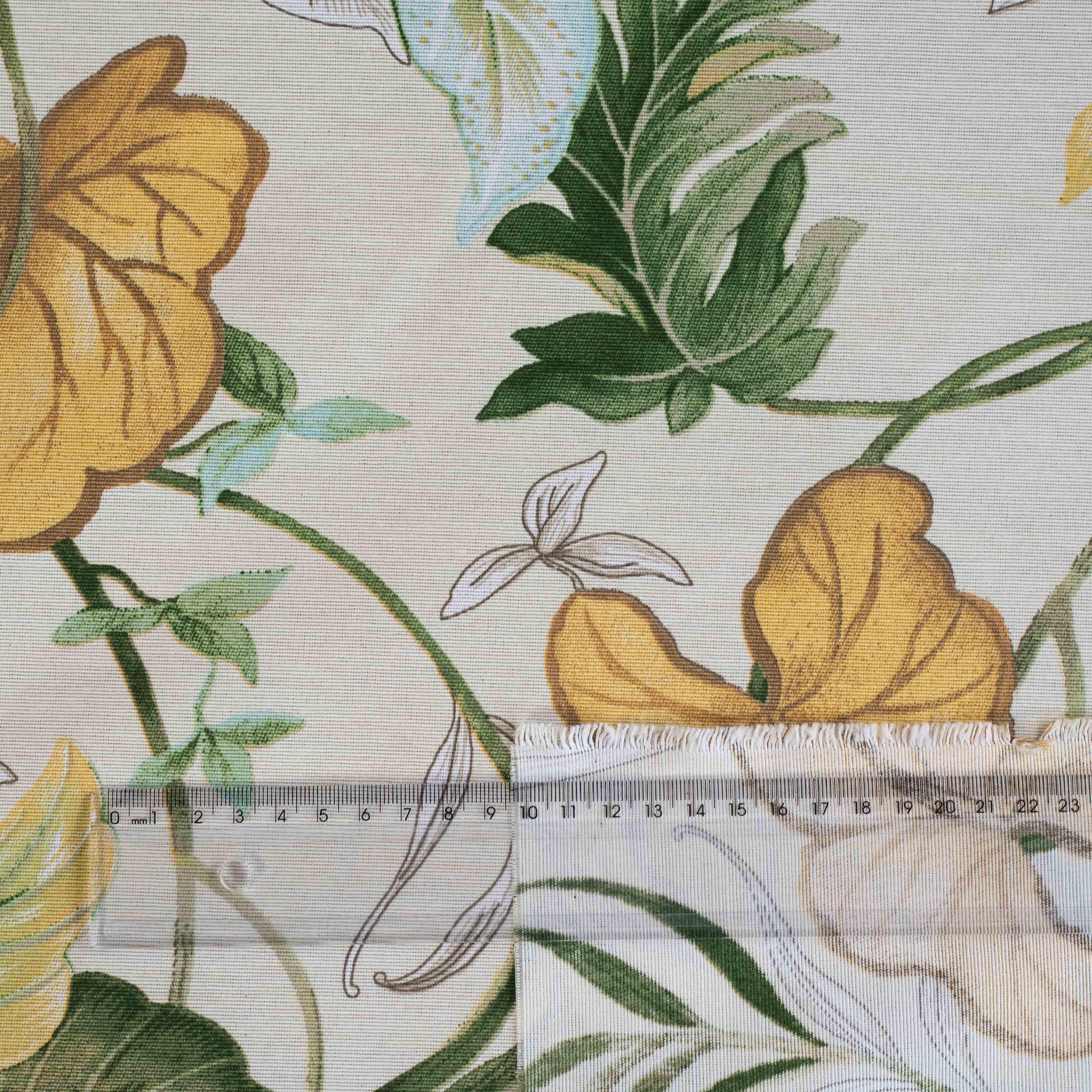BELIZE FLORAL
