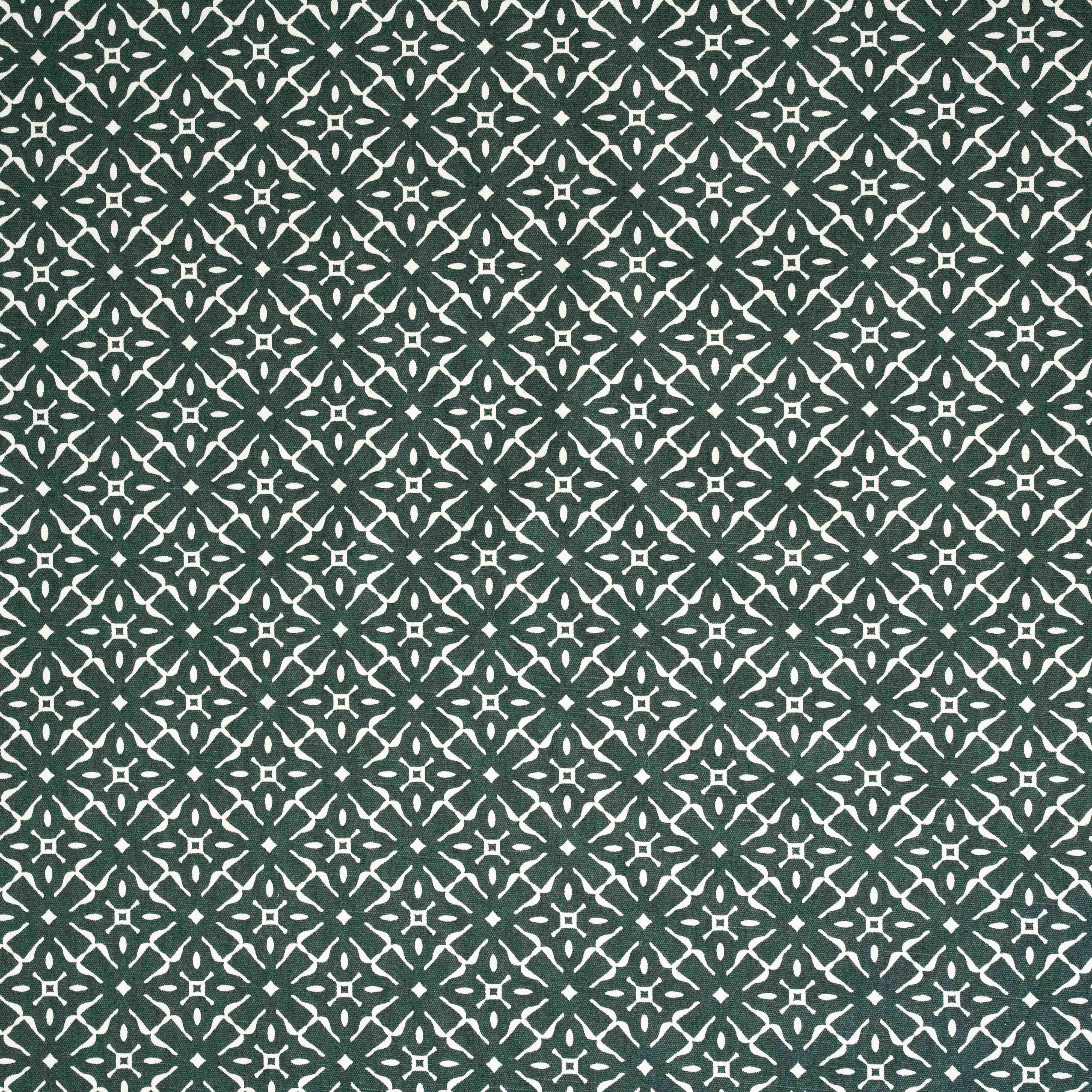 COTONE EST VERDE MUSGO