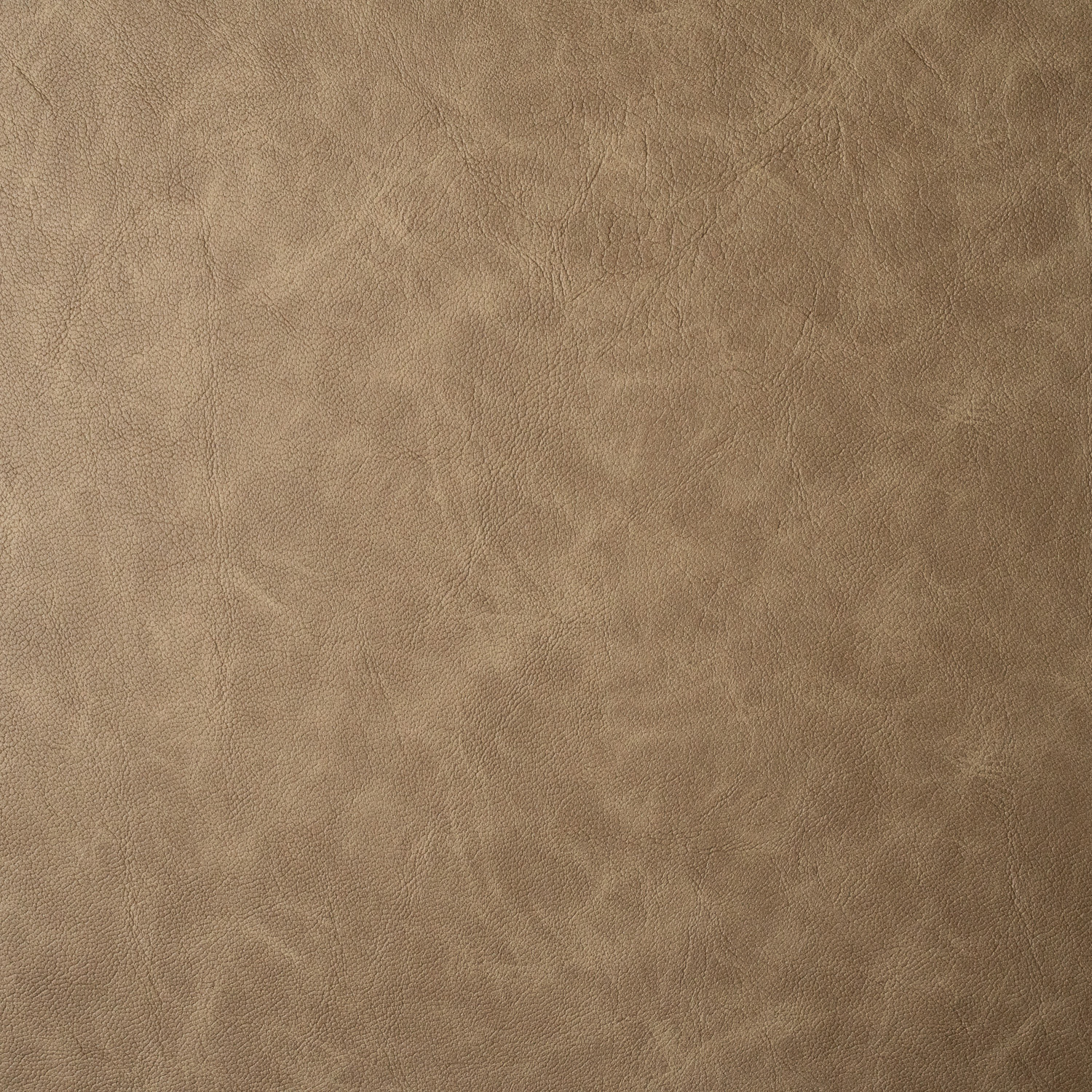 FACTO VEGAN INSTAMBUL TAUPE