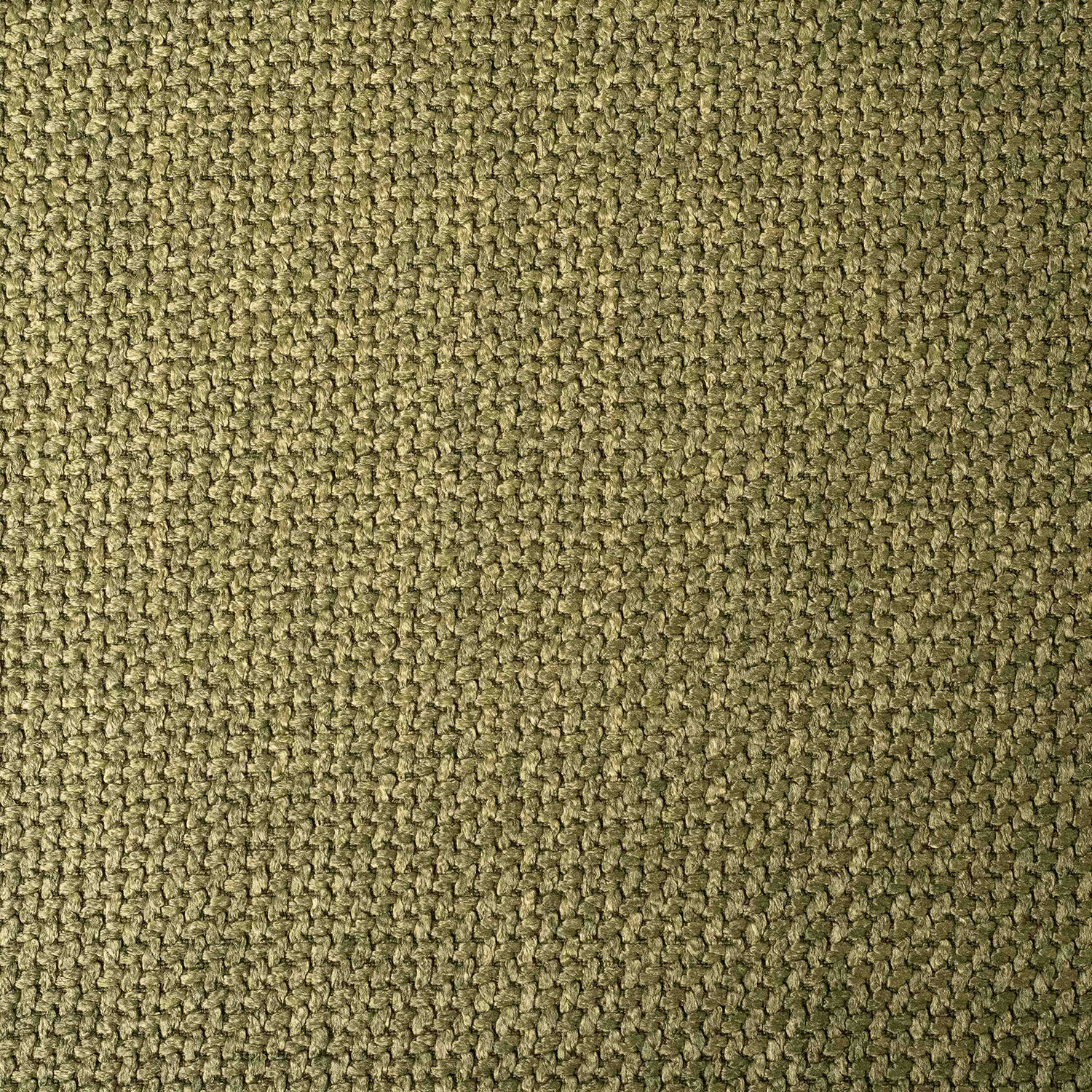 BRAQUE 36 VERDE