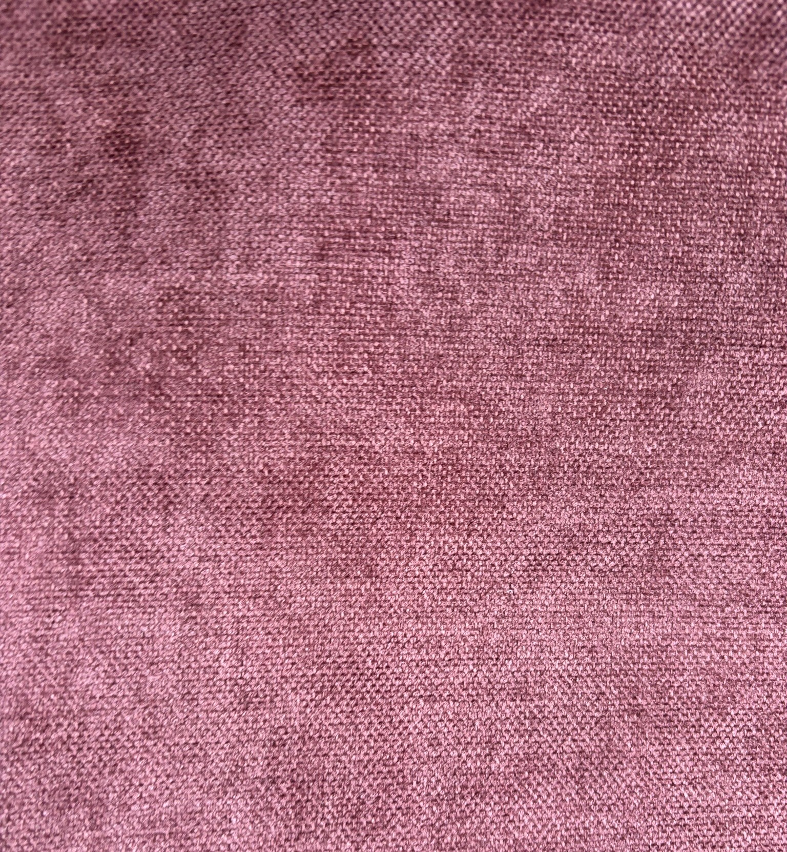 VELUDO GRIS COR 31 MARSALA
