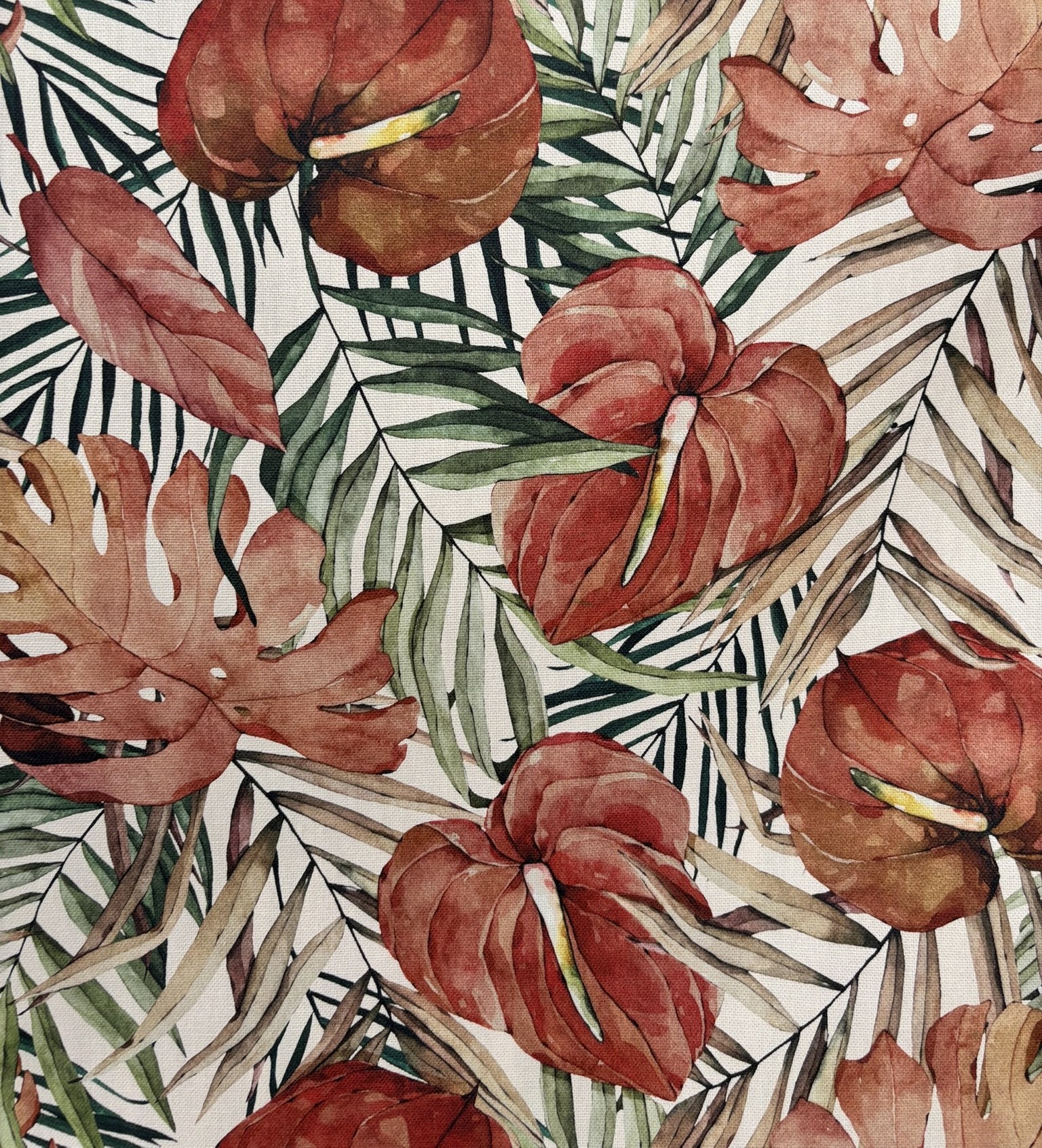 WHATERHAVANA EST GOIABA