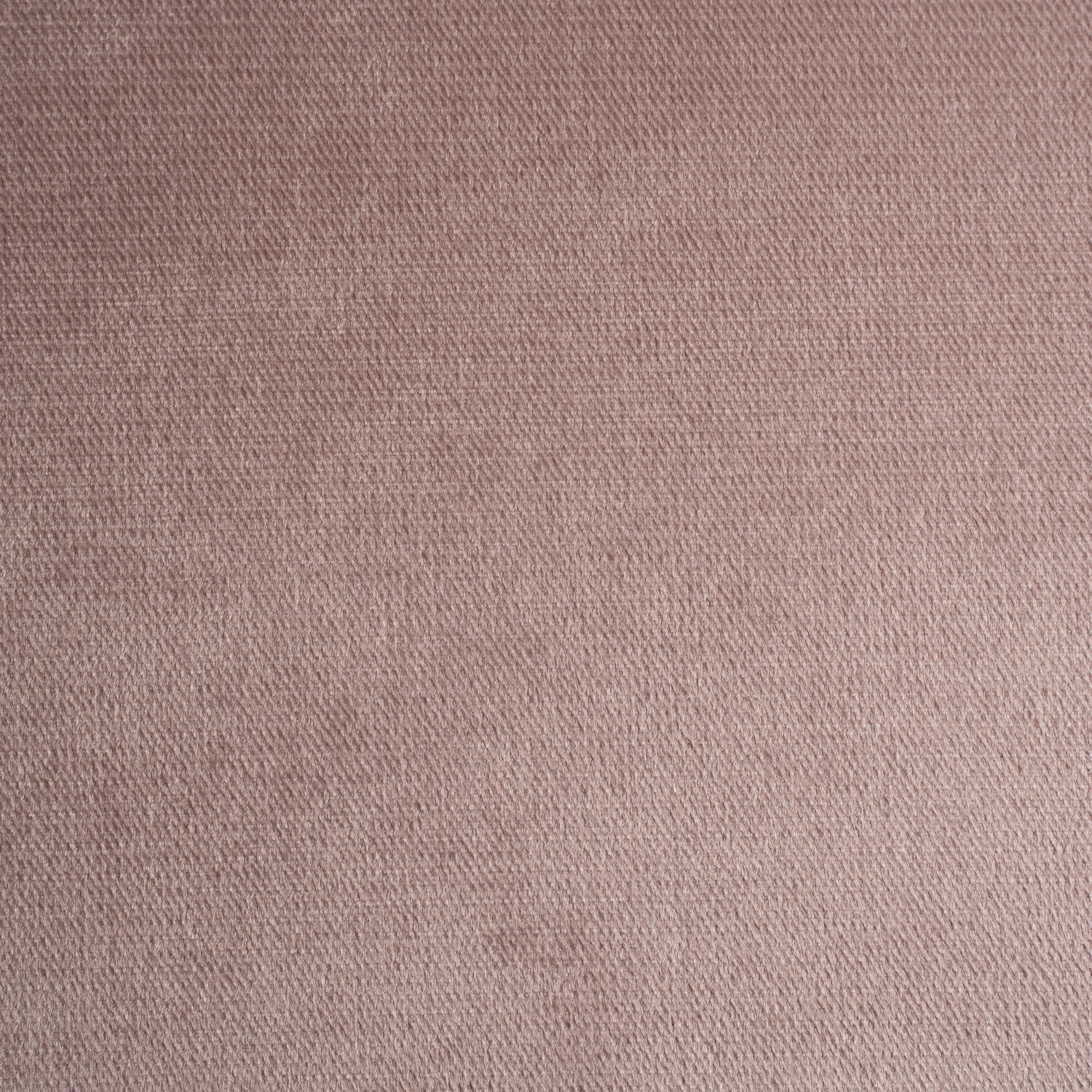 VELLUTO ROSA 1