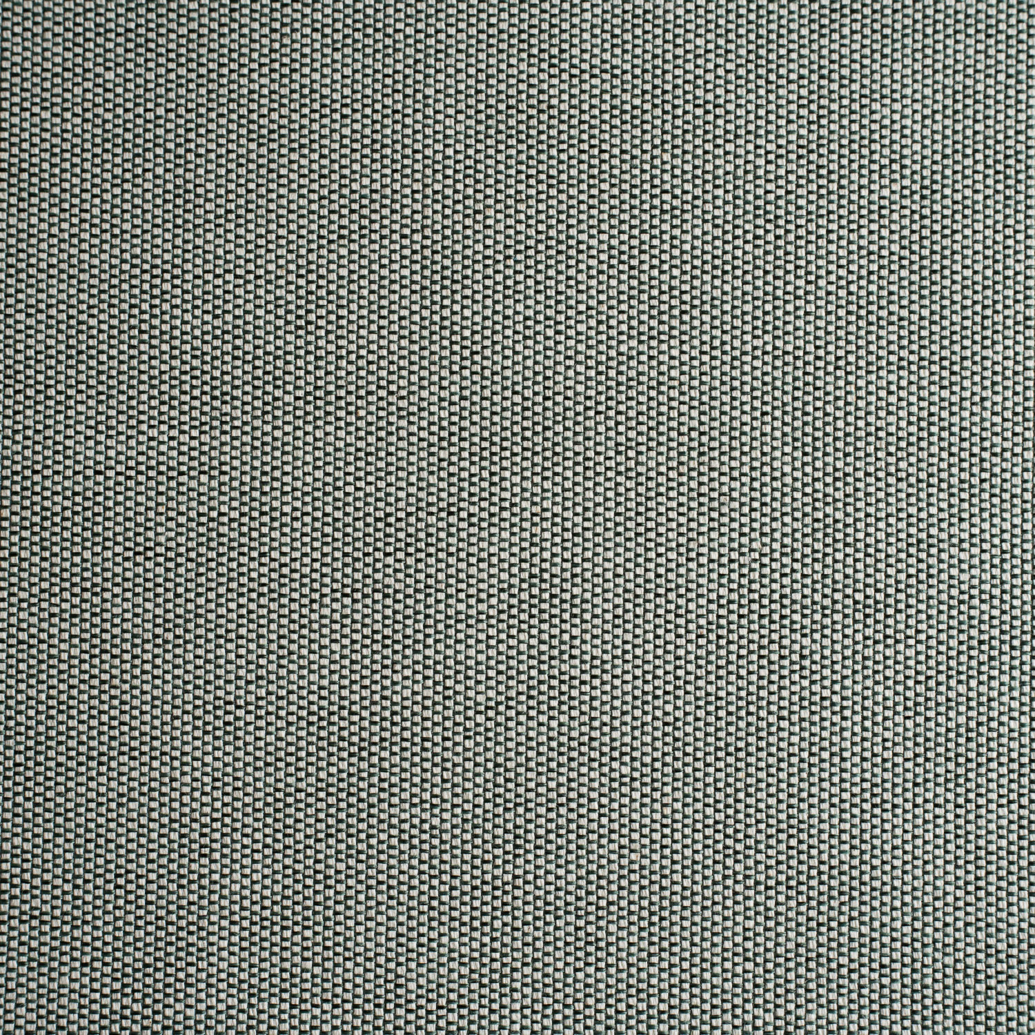 ALGODAO BENIN AM5534 VERDE