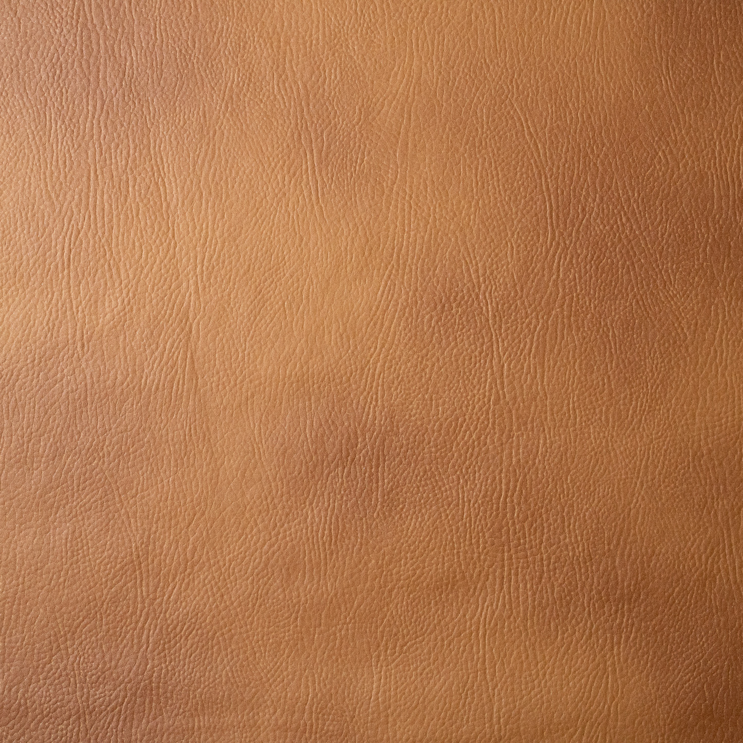CORANO CAMEL RENNES