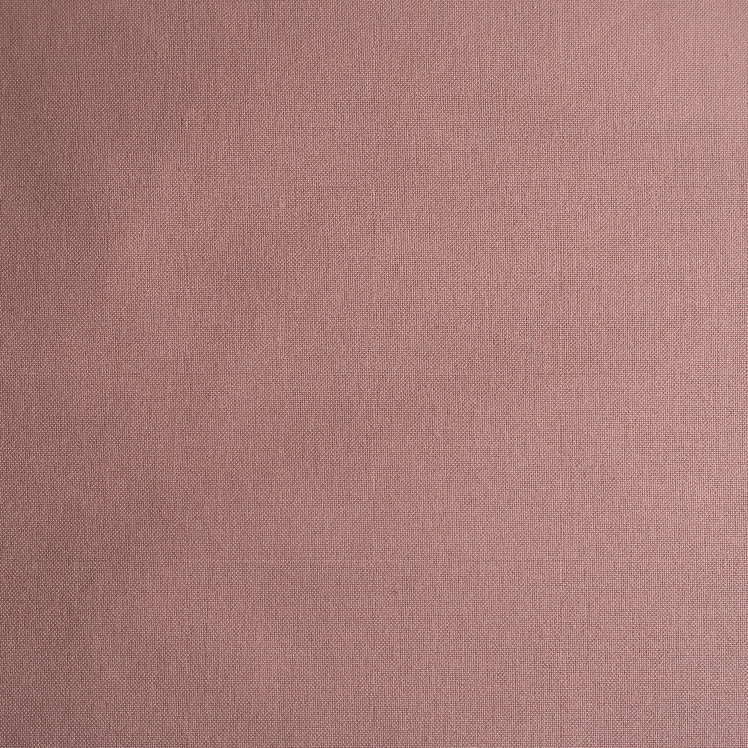 POPELINE ROSA