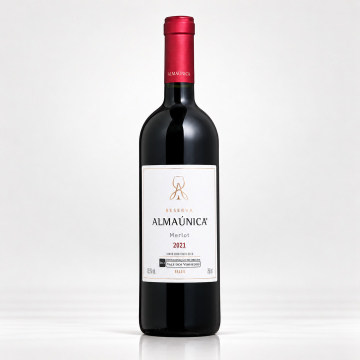 Merlot safra 2021