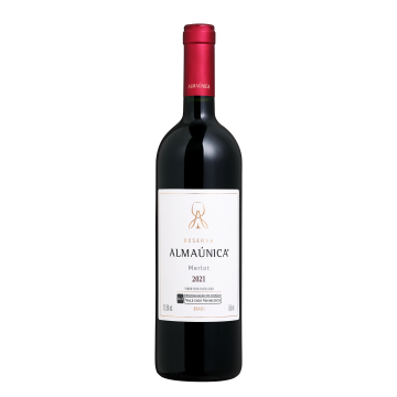 Merlot safra 2021