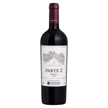 Parte 2 Merlot safra 2020