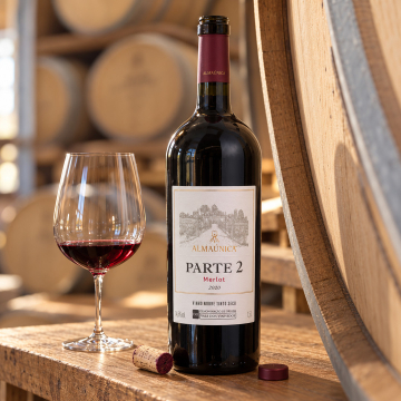 Parte 2 Merlot safra 2020 - 1,5 litros