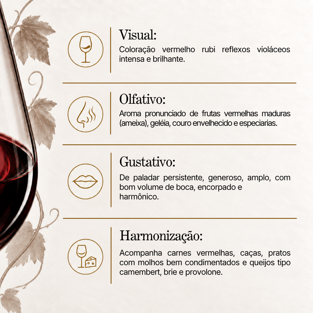 Vinho Tinto Privatum Ancellotta 2022 – Dal Pizzol