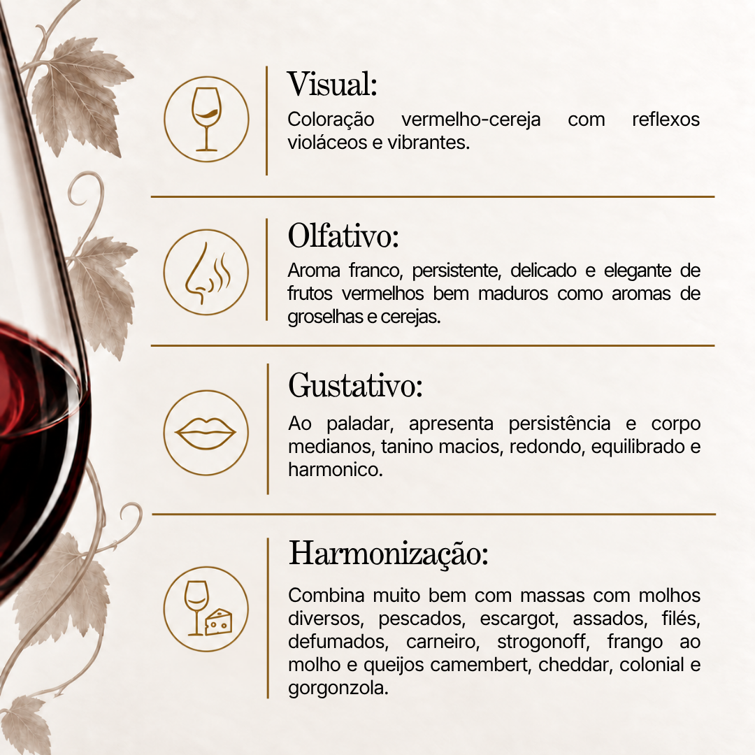 Vinho Tinto Privatum Pinot Noir 2024 – Dal Pizzol