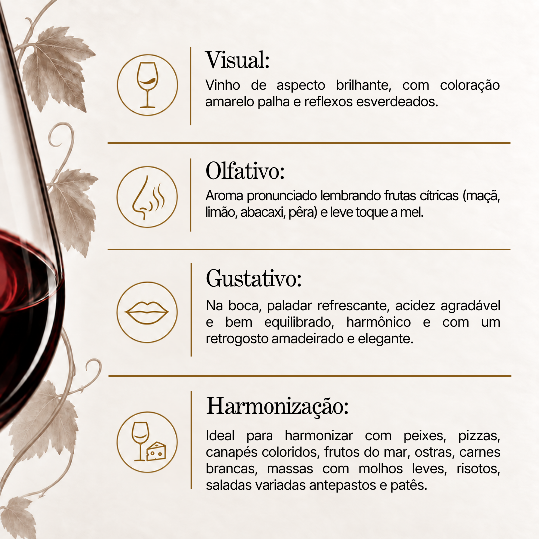 Vinho Branco Privatum Trebbiano Toscano 2024 – Dal Pizzol
