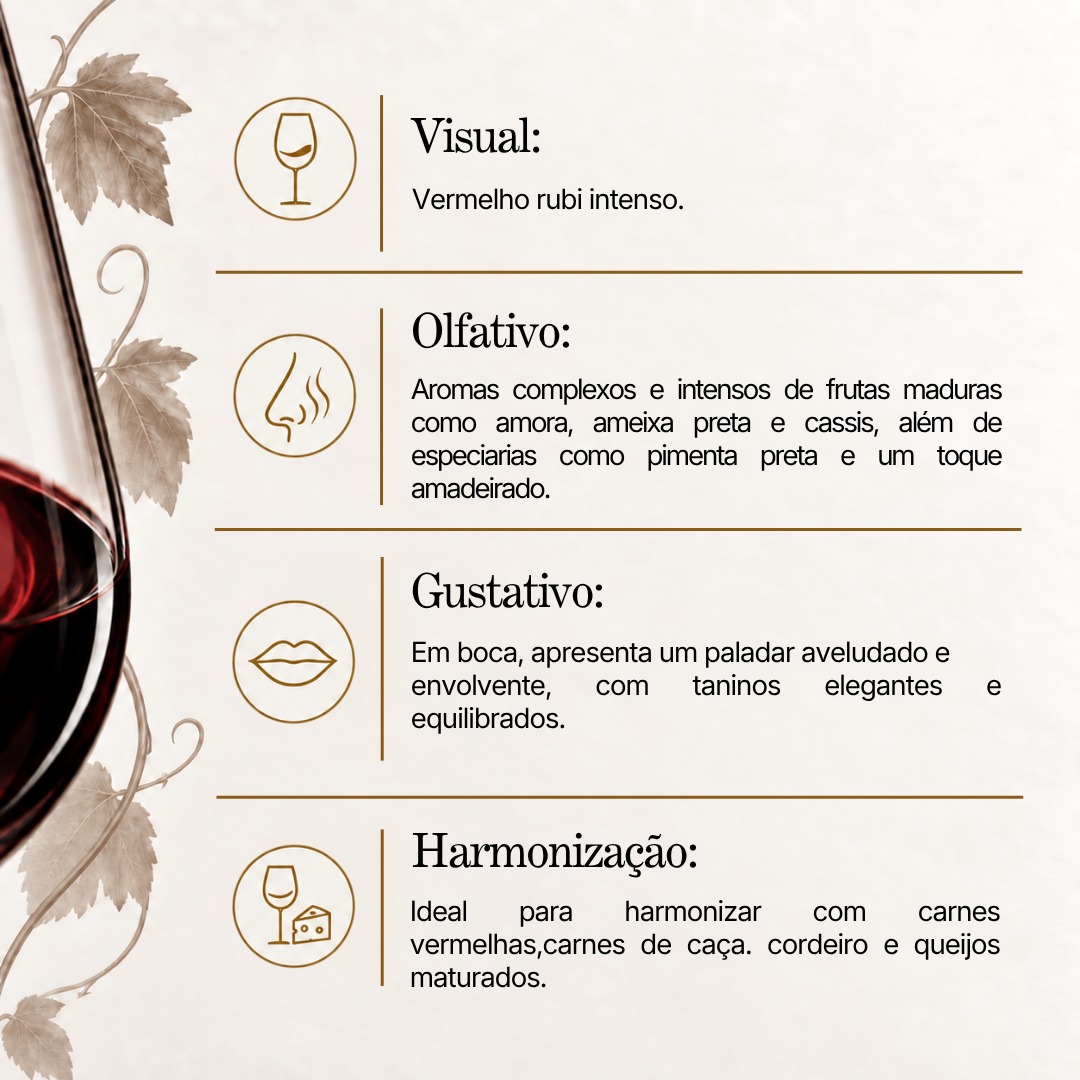Vinummundi Gran Assemblage 50 Anos – Dal Pizzol