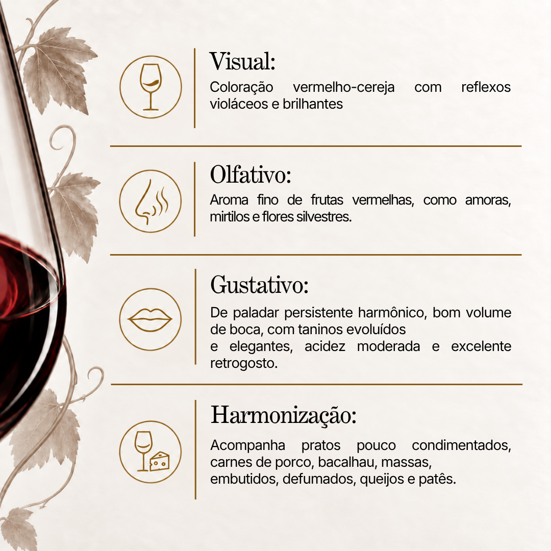 Vinho Tinto Privatum Touriga Nacional 2023 – Dal Pizzol
