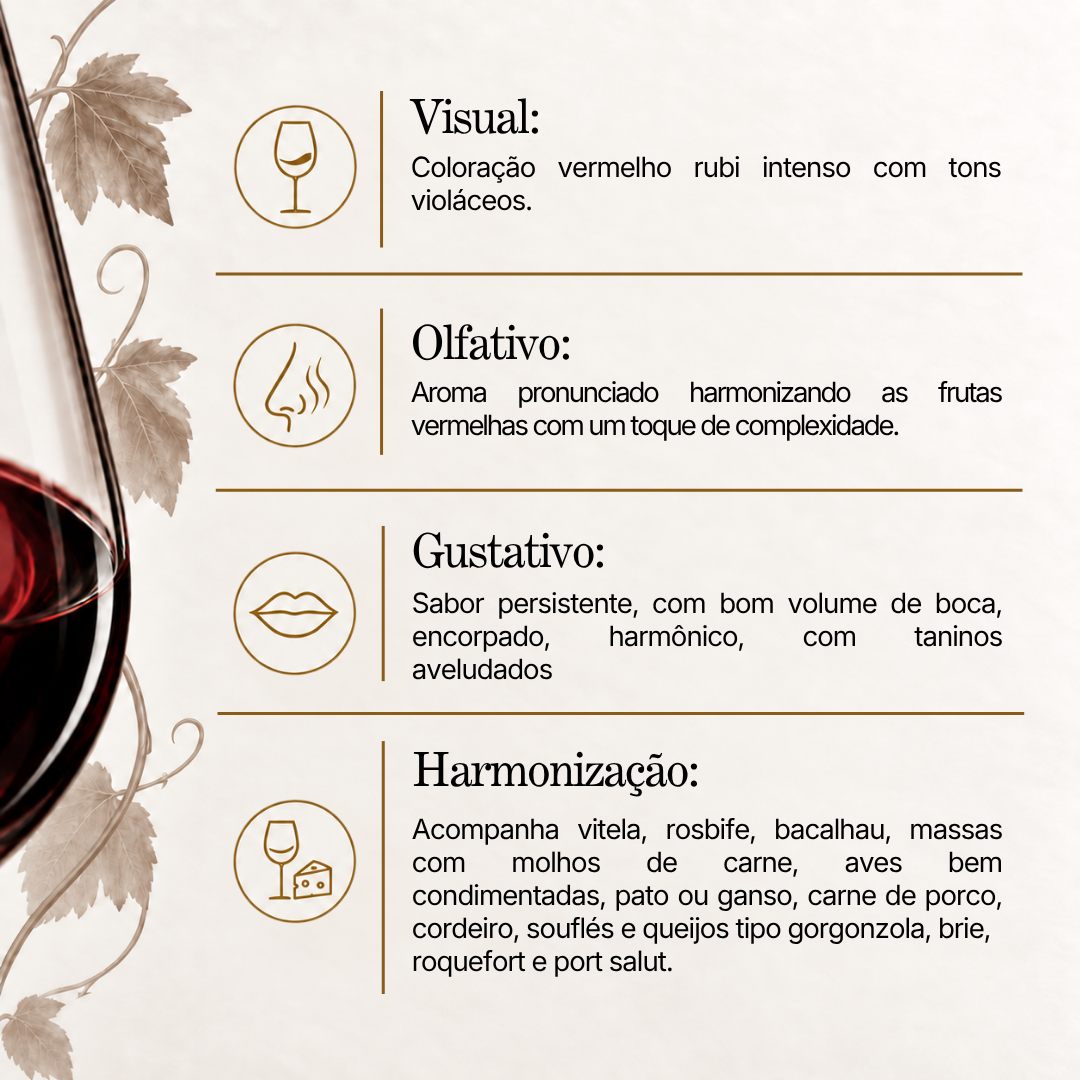 Vinho Tinto Dal Pizzol Merlot 375 ml 2022