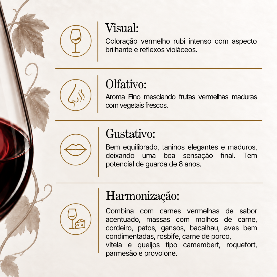 Vinho Tinto Dal Pizzol Cabernet Sauvignon 2022
