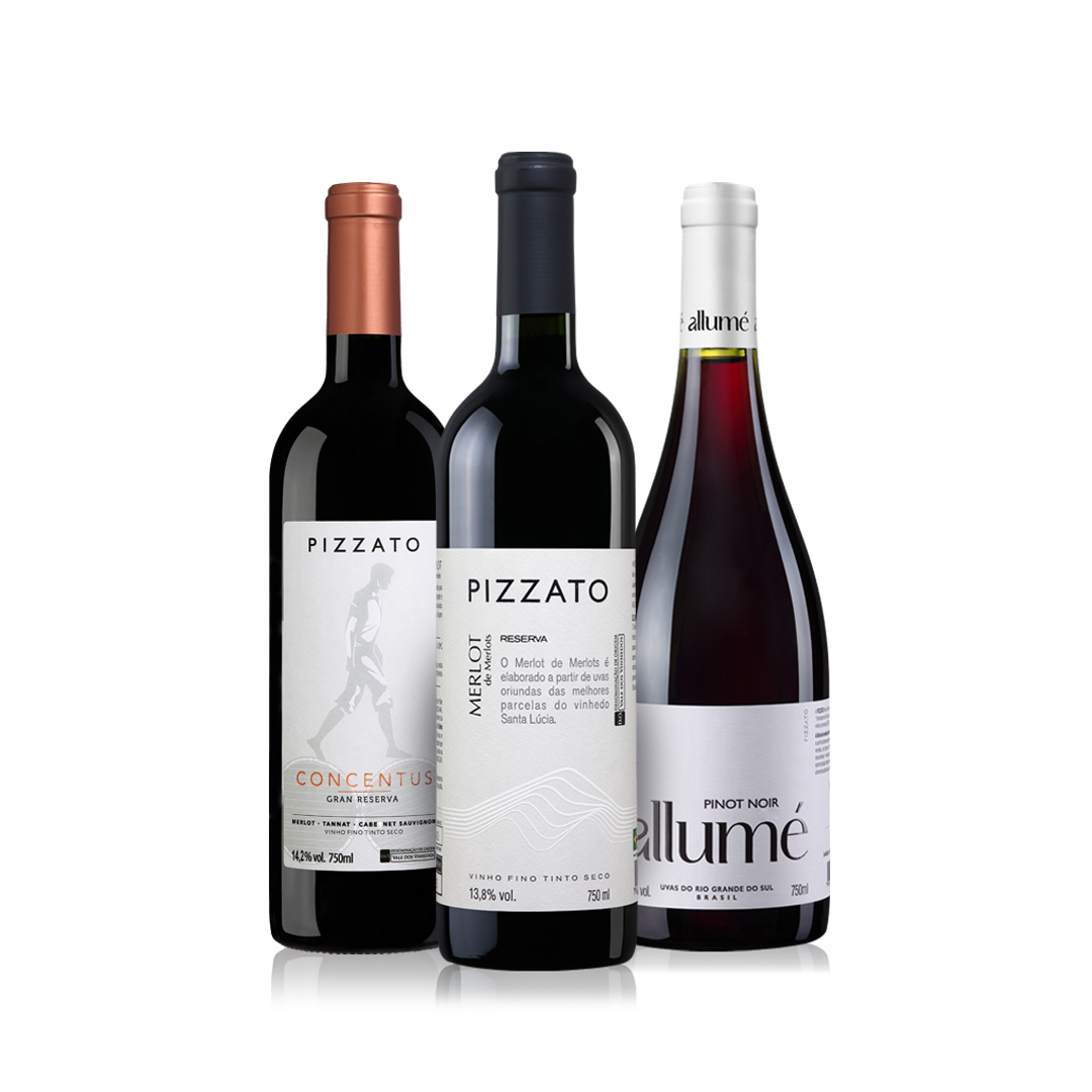 Pizzato Merlot, Pizzato Concentus, e Allumé Pinot Noir (kit com 3 garrafas)