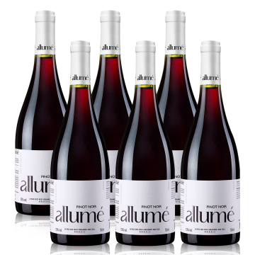 Allumé Pinot Noir combo 6 garrafas