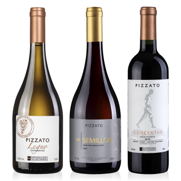 Trilogia de &iacute;cones