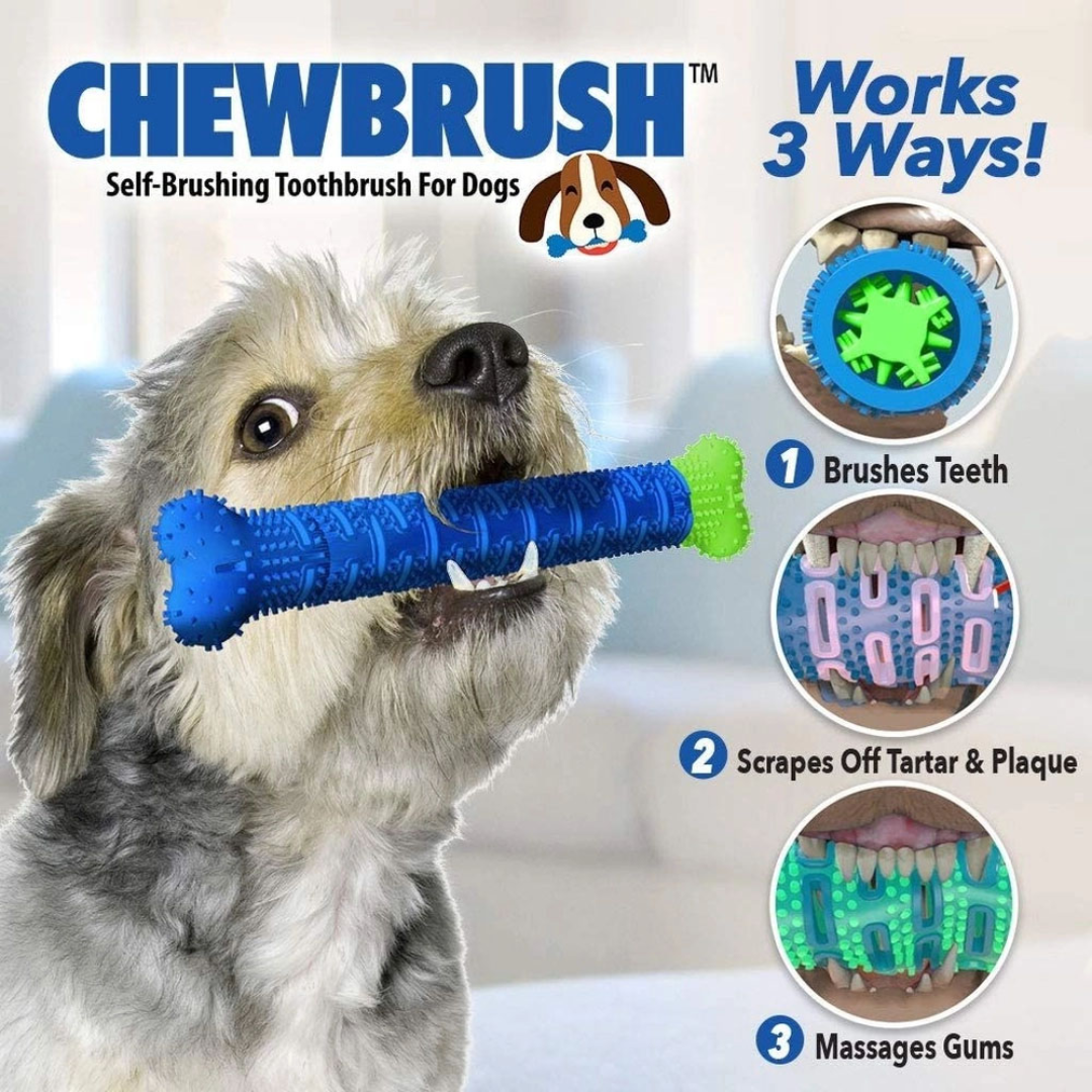 Mordedor Osso Removedor de Tártaros Para Cães – Chewbrush _ PET11