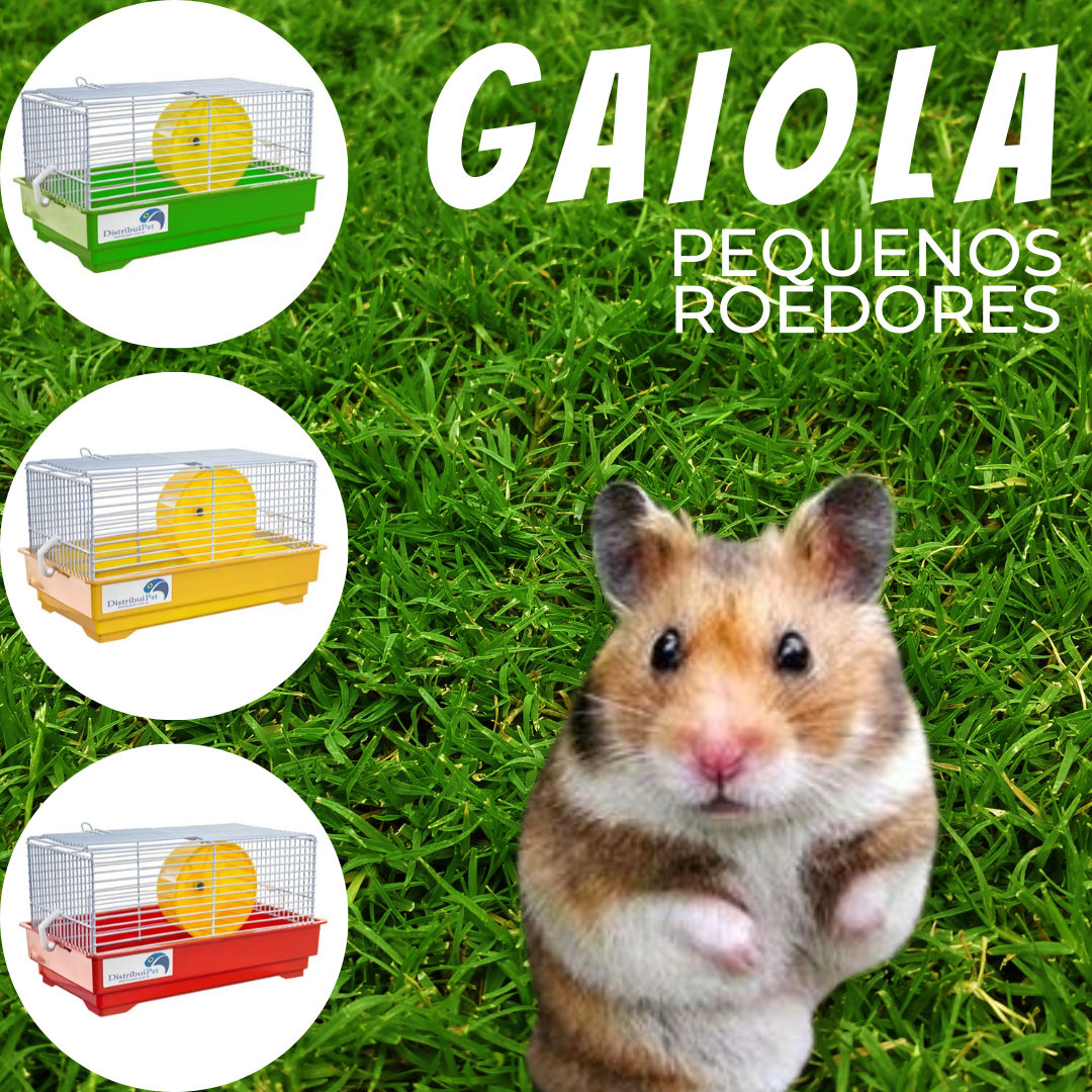 Gaiola Hamster Roborovski Chinês Topolino Minizinha _ PET04