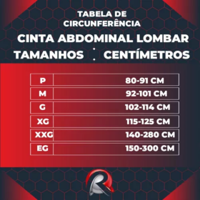 Cinta Lombar Abdominal Ergonômica Reforçada - Prevenção de Lesões _ ES03