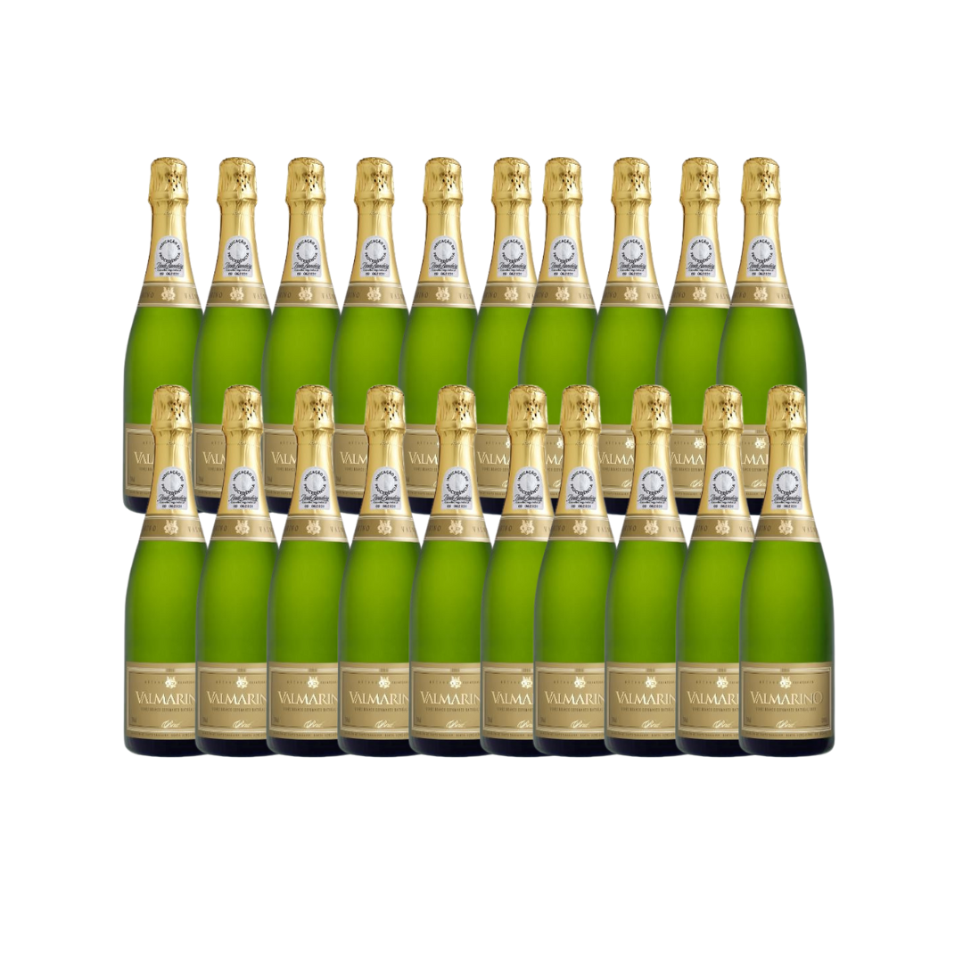 KIT 20 UN ESPUMANTE BRUT VALMARINO SAFRA 2018