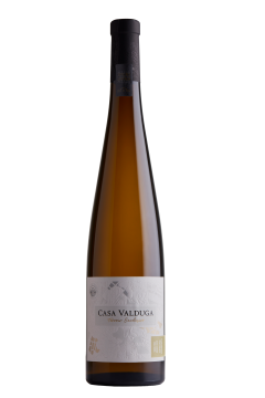 Vinho Fino Branco Seco Gewurztraminer Terroir Exclusivo Casa Valduga 750 ml