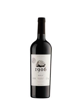 Merlot - Linha 1906