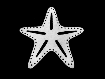 Estrela