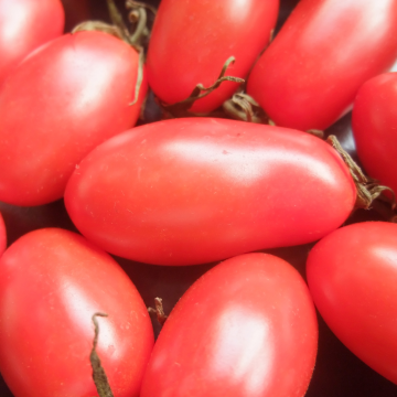 Tomate Italiano sem agrotóxicos (<u>clique</u> e escolha sua porção)