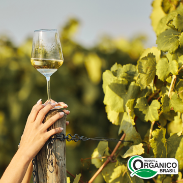 Vinho Branco Seco Niagara 750ml Orgânico e Vegano De Cezaro