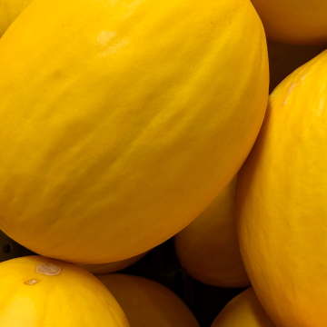 Melao Amarelo Inteiro (média de 1,4 kg )