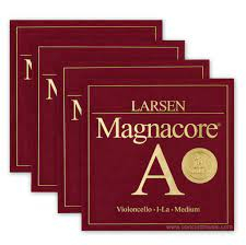 Magnocore