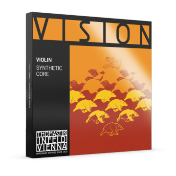 Vision