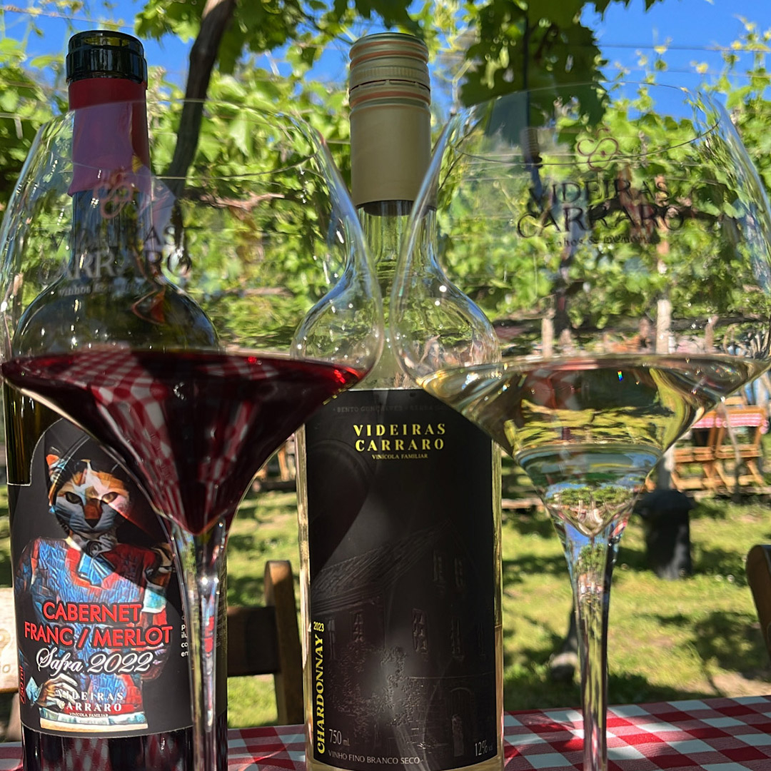 Experiência – Degustação Interna – 6 rótulos