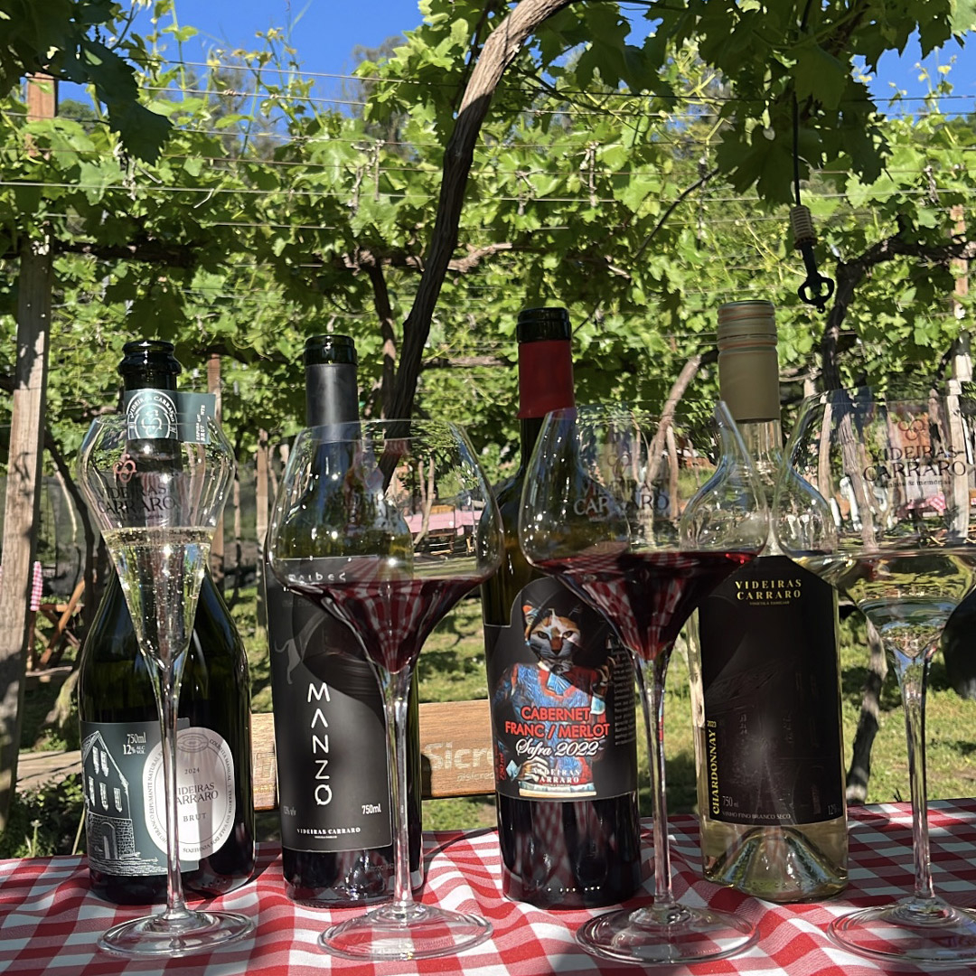 Experi&ecirc;ncia &ndash; Degusta&ccedil;&atilde;o Externa &ndash; 6 r&oacute;tulos