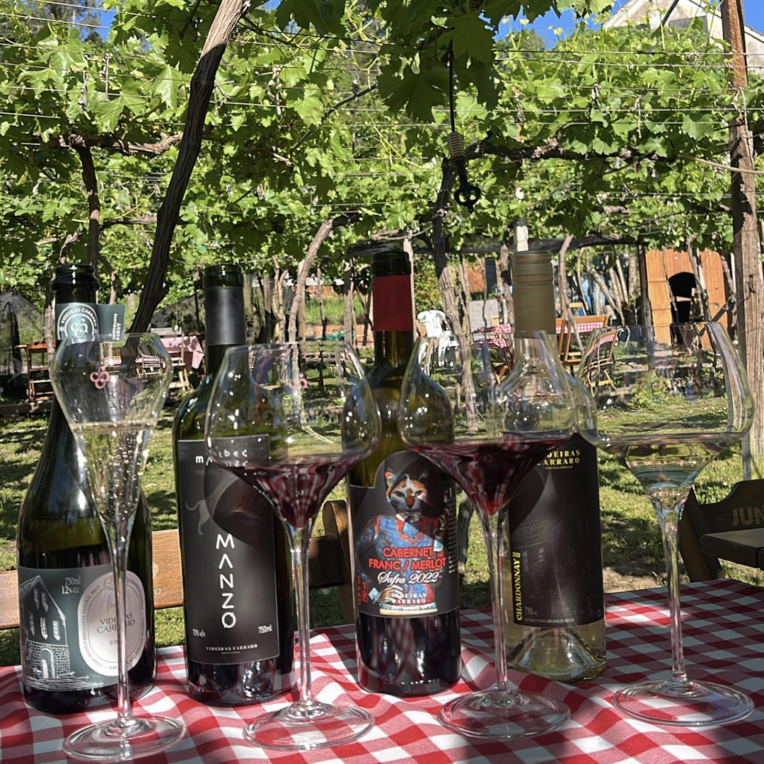 Experiência – Degustação Interna – 6 rótulos