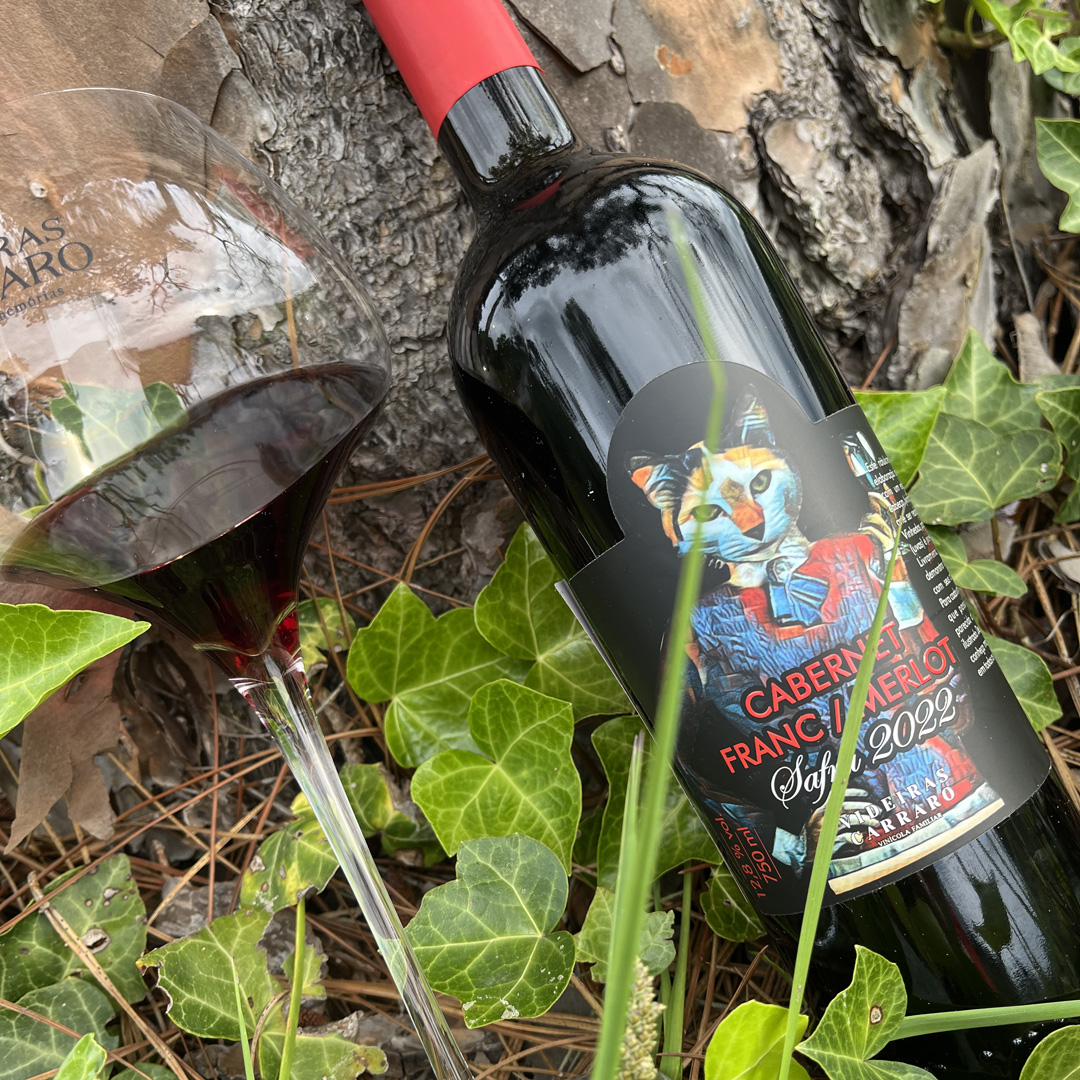 Experiência – Piquenique entre Parreirais – 2 pessoas